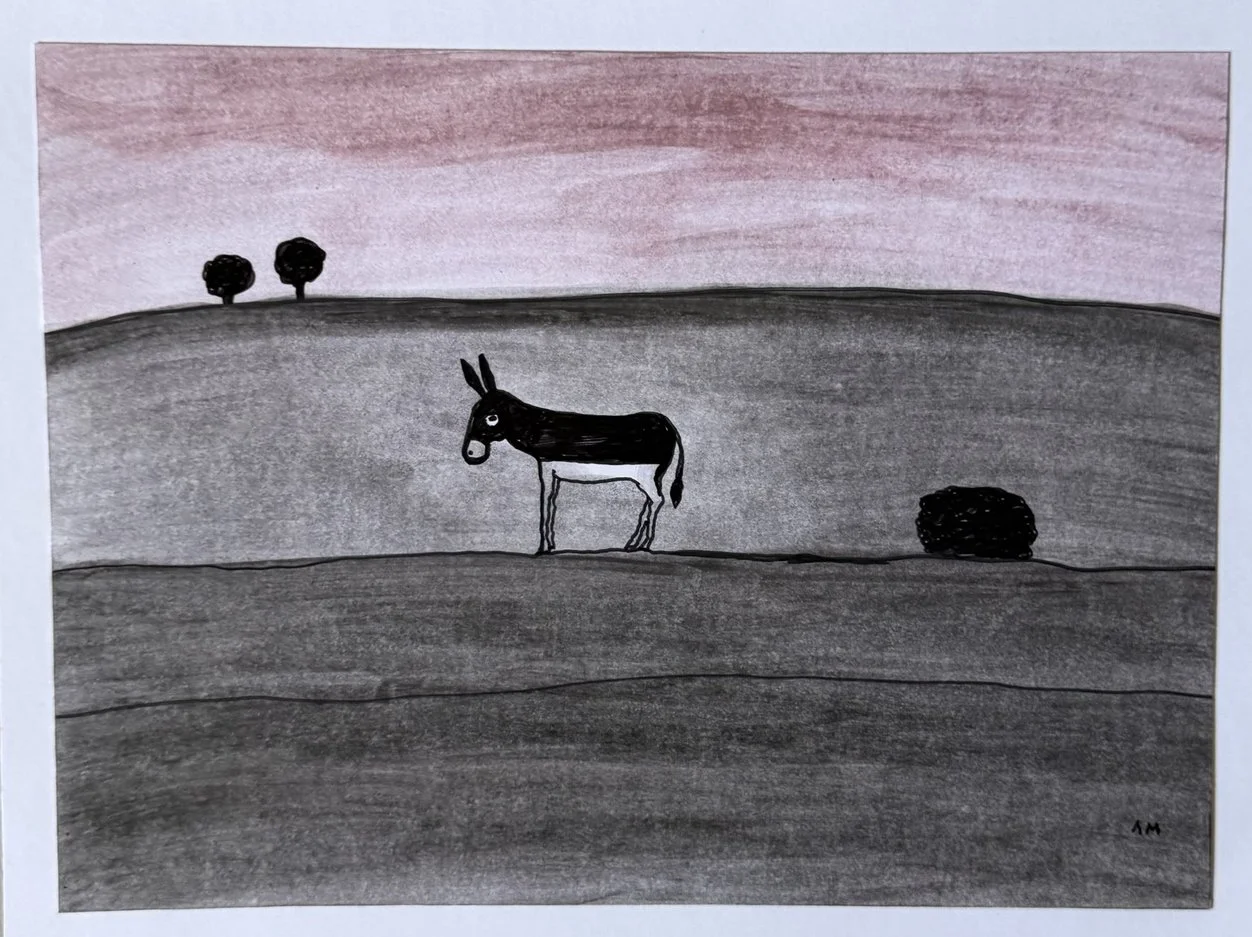 Âne noir et blanc seul dans une plaine grise sous un ciel rose de crépuscule