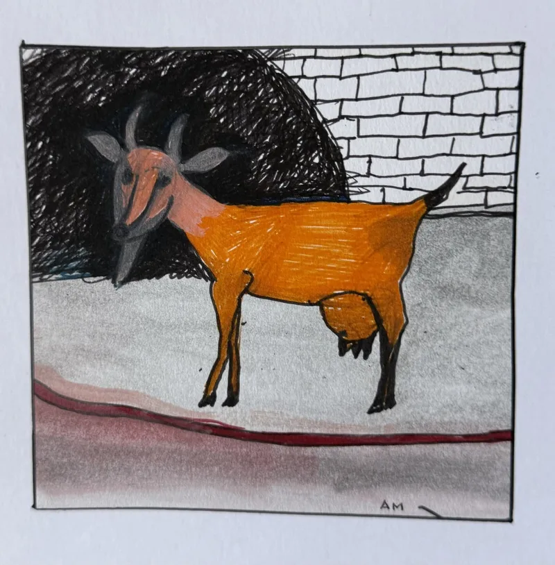 Chèvre orange à cornes sombres devant un mur de briques blanches, fond noir