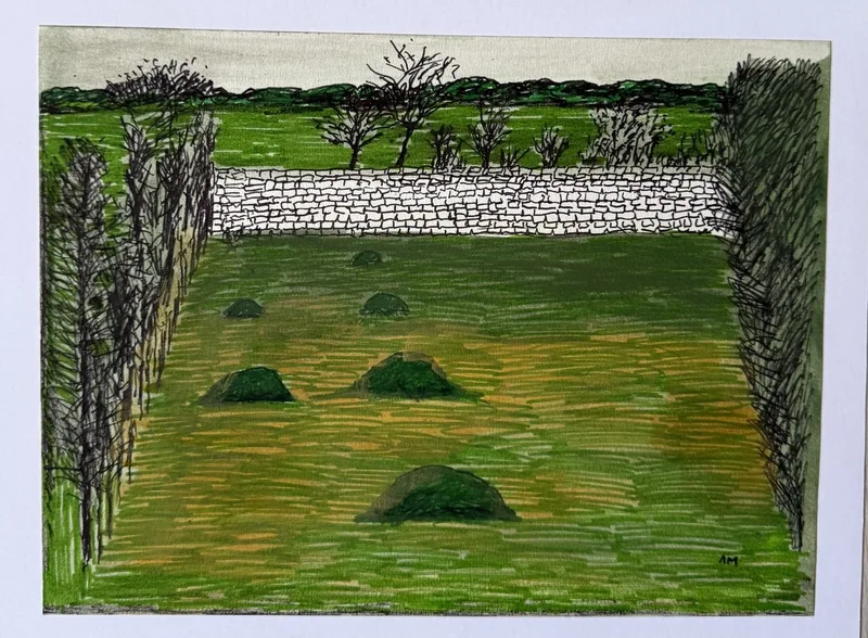 Prairie verte bordée de haies avec des bottes de foin rondes, mur de pierre au loin