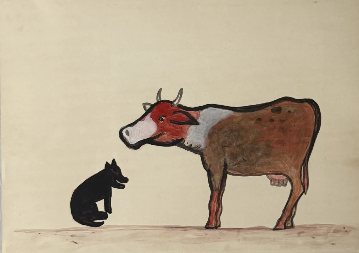 Chien noir assis levant les yeux vers une vache brune et blanche