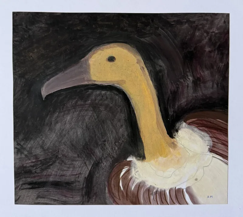 Gros plan sur une tête de vautour pâle au long bec, plumage sombre, fond noir